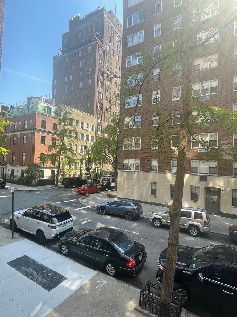  Beekman Place - Photo 7