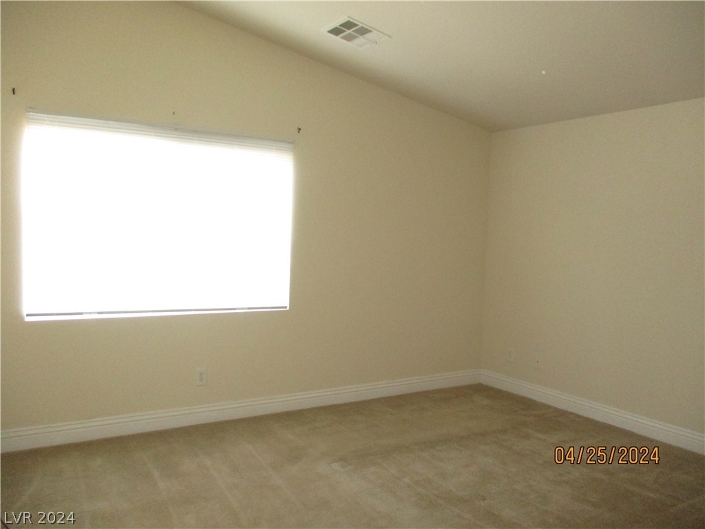 3308 Speckle Summer Place - Photo 12