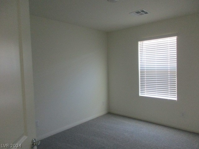 422 Canary Song Drive - Photo 18