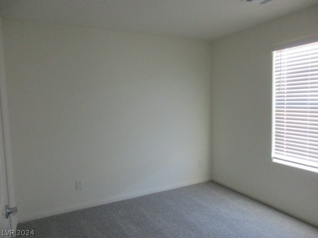 422 Canary Song Drive - Photo 19