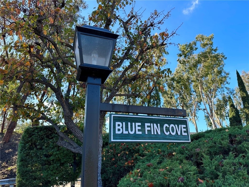 23691 Cove Blue Fin - Photo 1