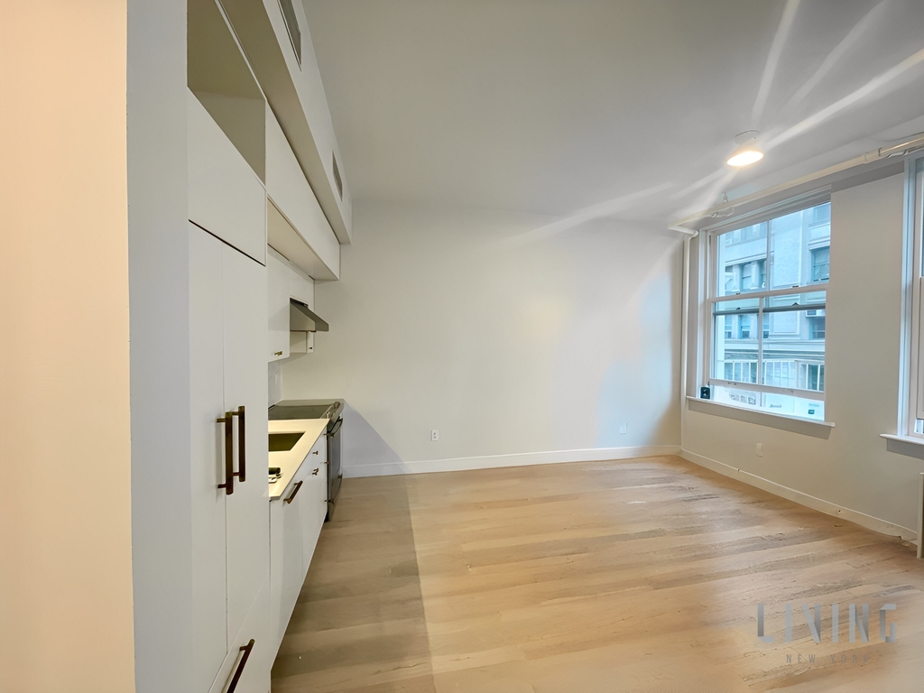 452 Broome Street - Photo 3