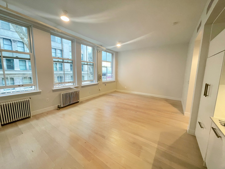 452 Broome Street - Photo 1