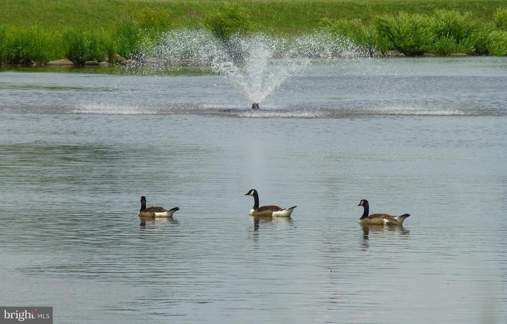 13222 Goose Pond Ln - Photo 14