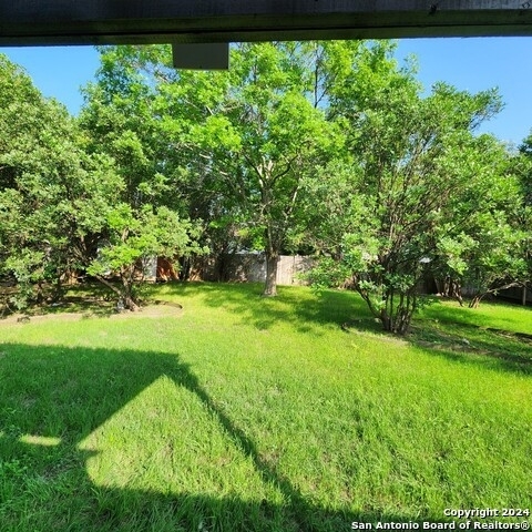 7014 Forest Moss - Photo 20