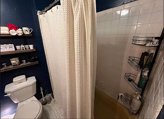370 West 46th Street - Photo 11