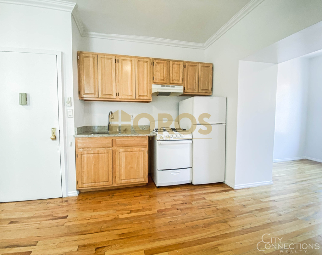 215 East 10th Street - Photo 4