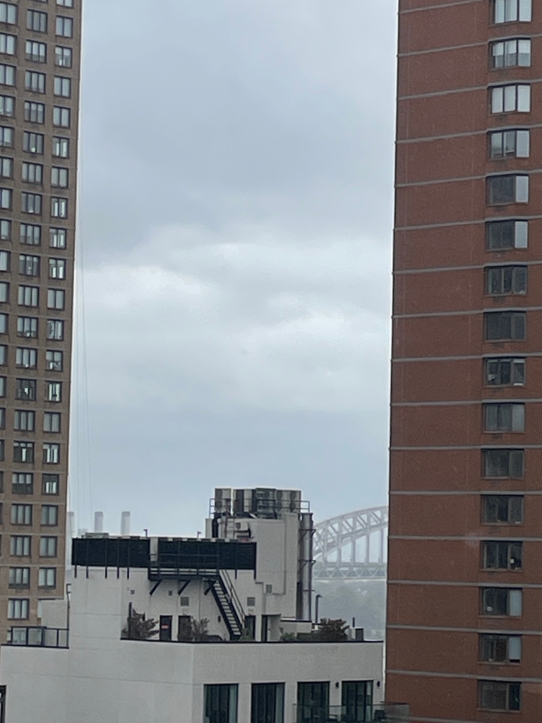 400 East 89th Street, 14N - Photo 5