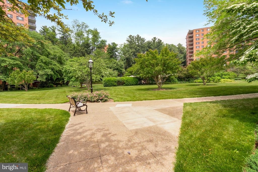 4201 Cathedral Ave Nw - Photo 5
