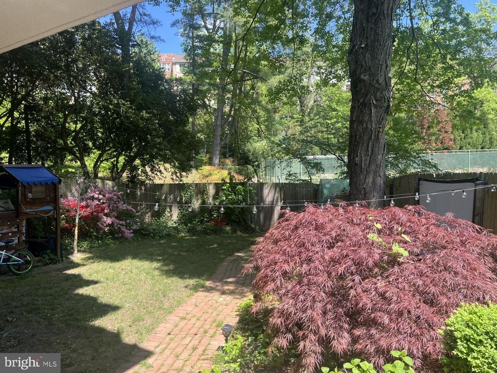4201 Cathedral Ave Nw - Photo 26