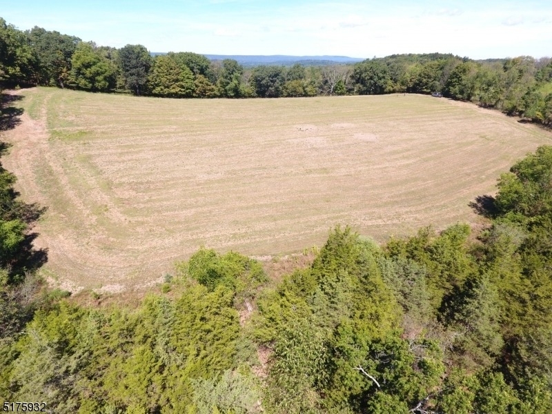 0 Pond School Rd - Photo 7