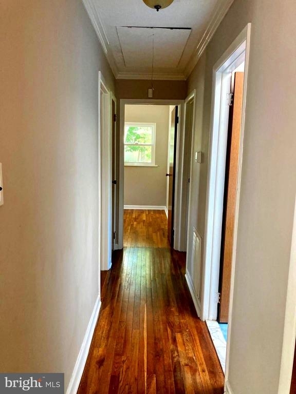 1217 Canal Ave - Photo 13