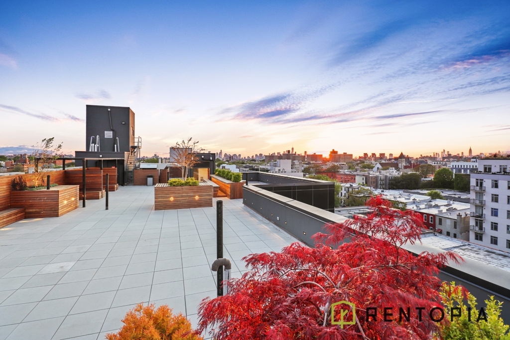 824 Lexington Avenue - Photo 9