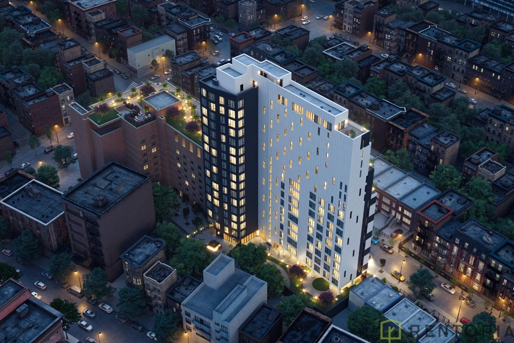 60 Cedar Street - Photo 19