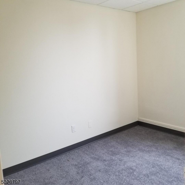 817 Ringwood Ave - Photo 2