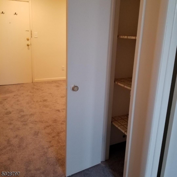 817 Ringwood Ave - Photo 5