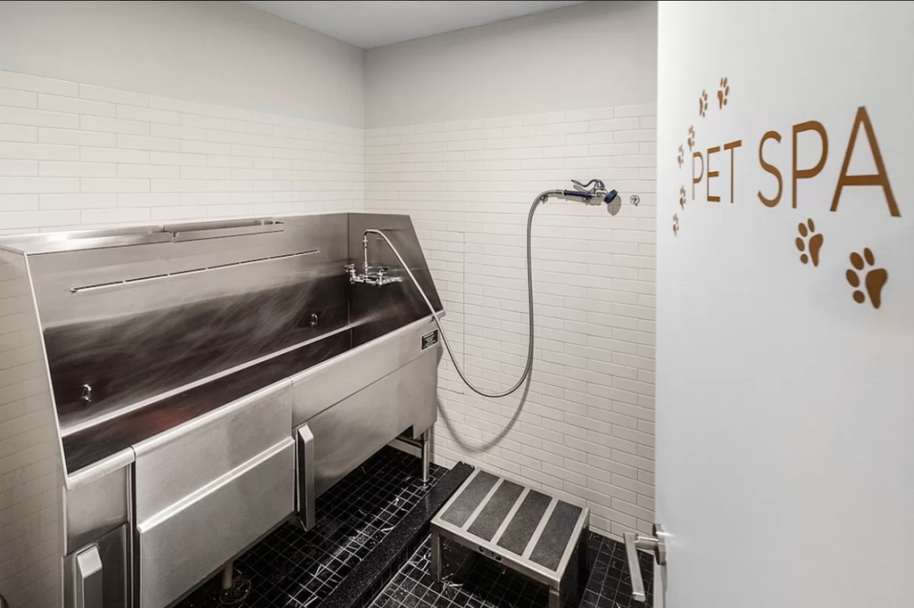 East 54th Street - Photo 8