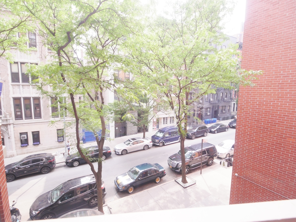 245 East 84th Street - Photo 9