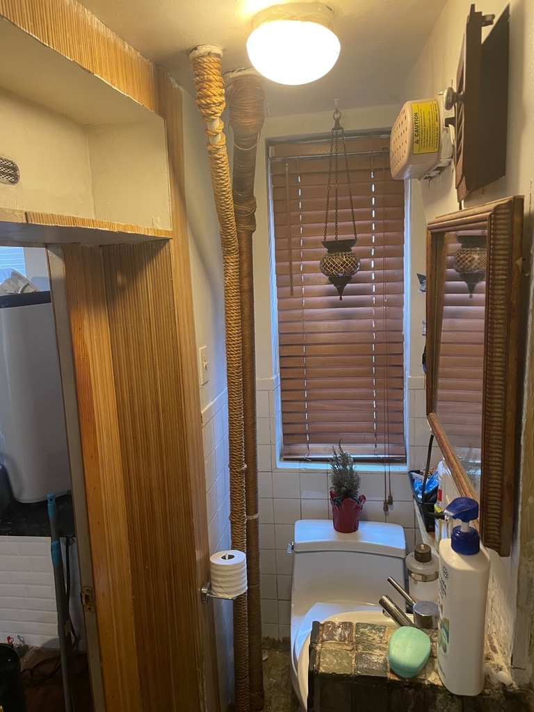 336 East 6th Street - Photo 8