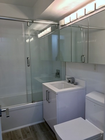 East 56th Street - Photo 9