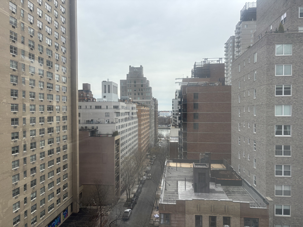 East 79th Street - Photo 8