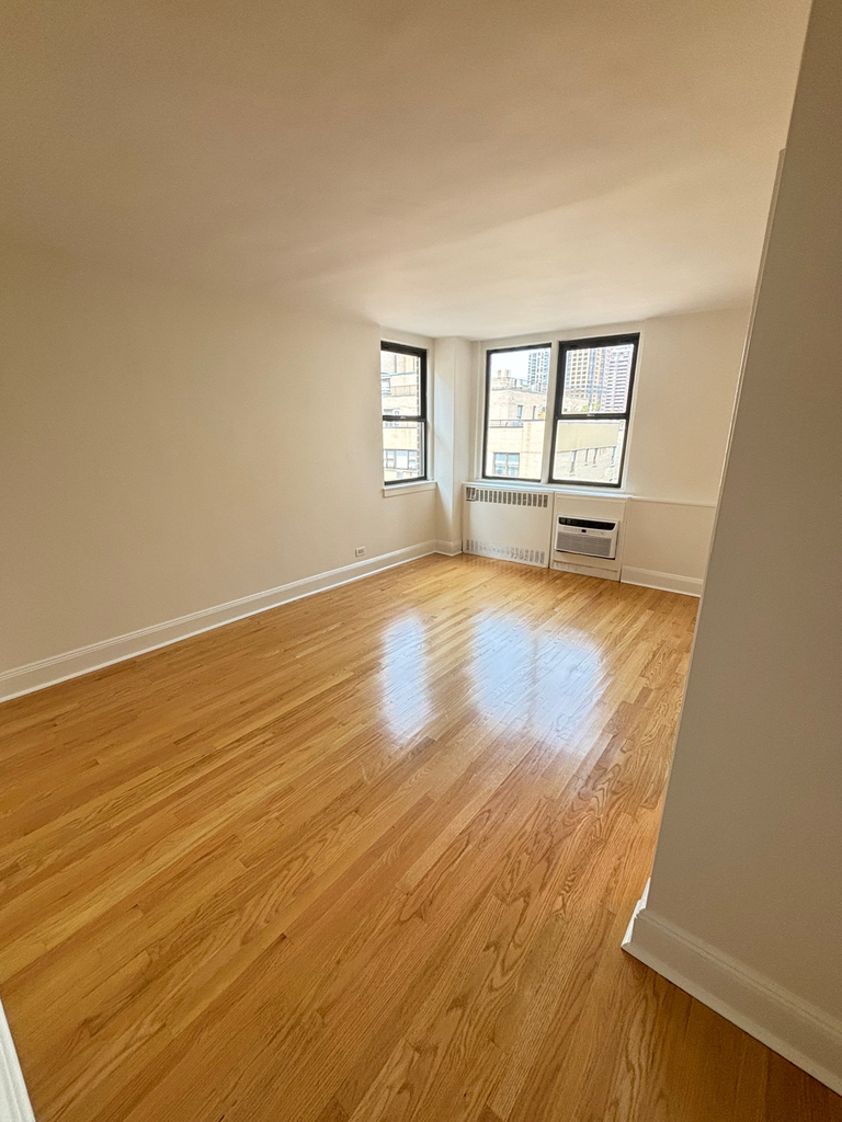 East 79th Street - Photo 8