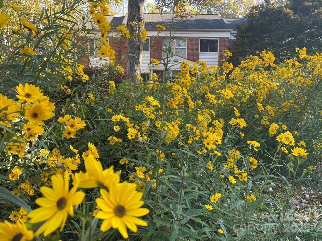 2513 Vail Avenue - Photo 11
