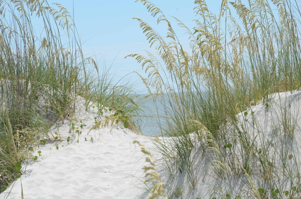 704 Ocean Front - Photo 40