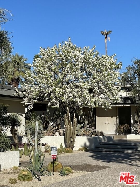 40471 Sand Dune Road - Photo 3