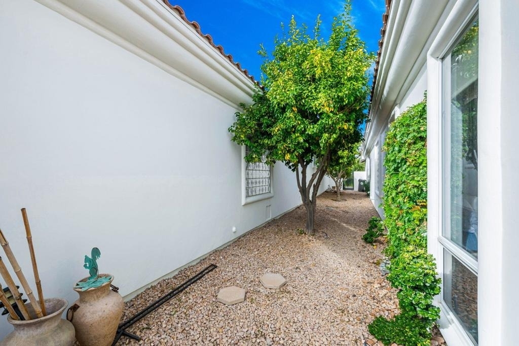 79215 Mandarina - Photo 41