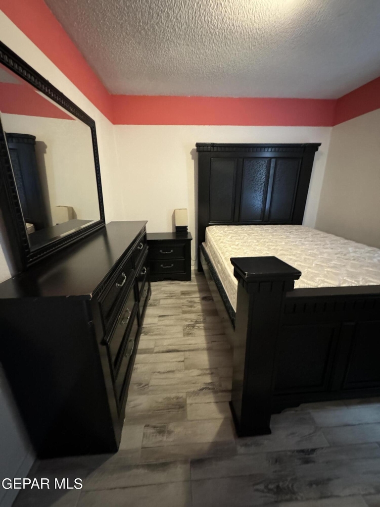 12353 Tierra Alaska Avenue - Photo 5