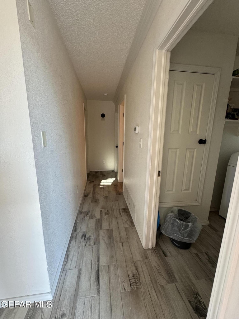 12353 Tierra Alaska Avenue - Photo 10