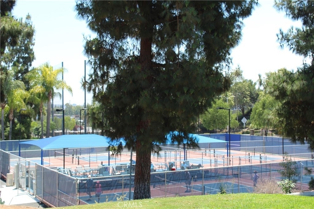 852 Ronda Mendoza - Photo 14