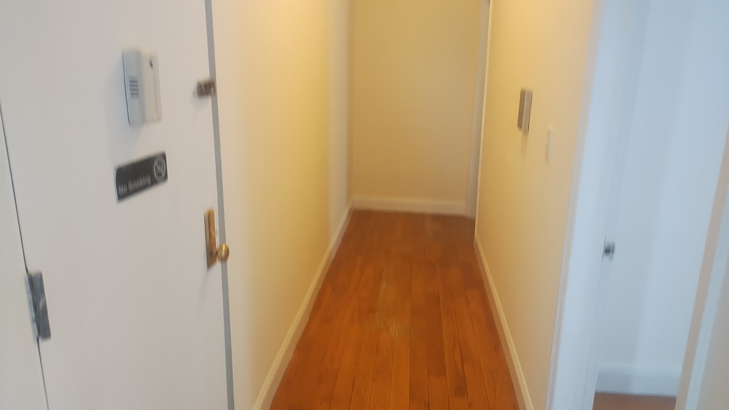 101 West 131st Street - Photo 3