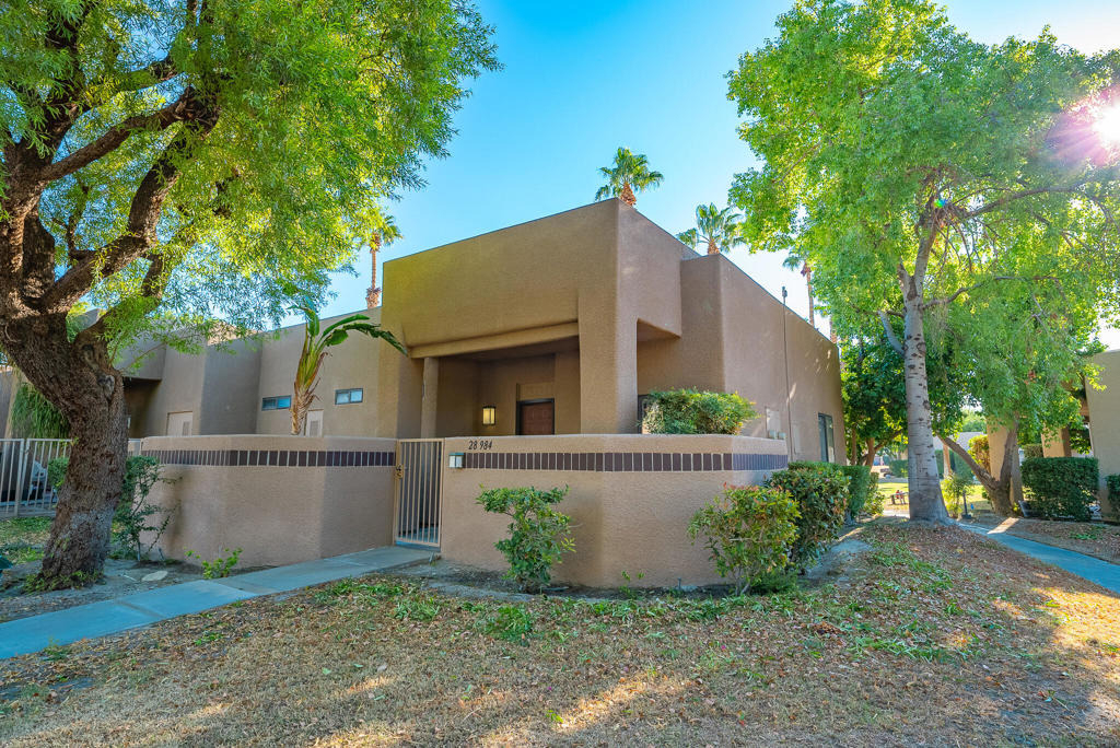 28984 Desert Princess Drive - Photo 18