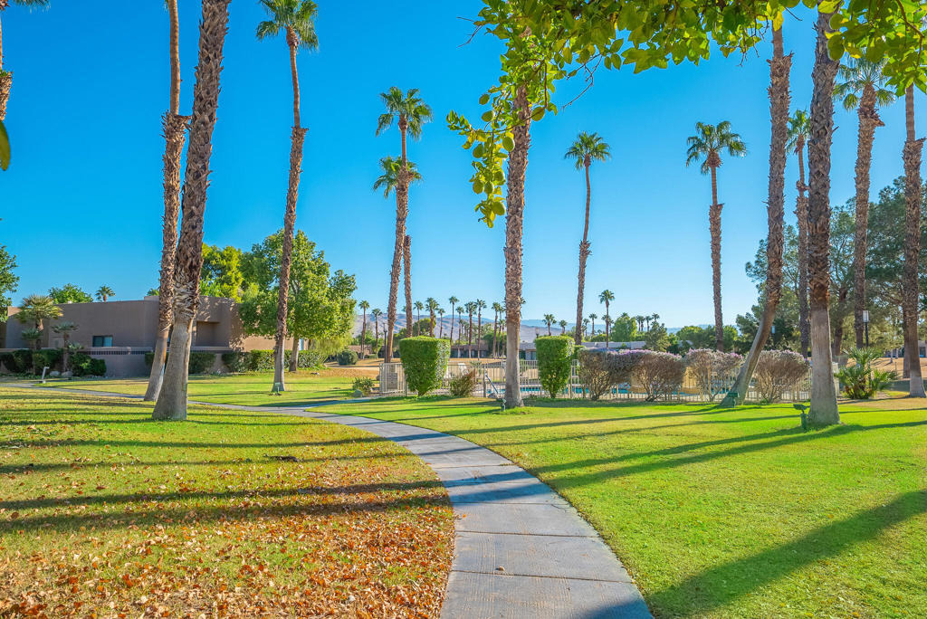 28984 Desert Princess Drive - Photo 12
