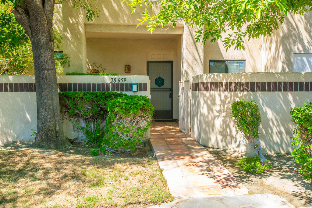 28859 Desert Princess Drive - Photo 1
