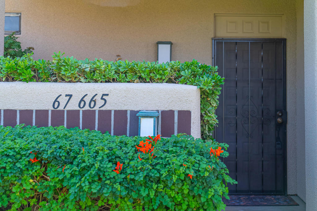 67665 Lagos Way - Photo 31