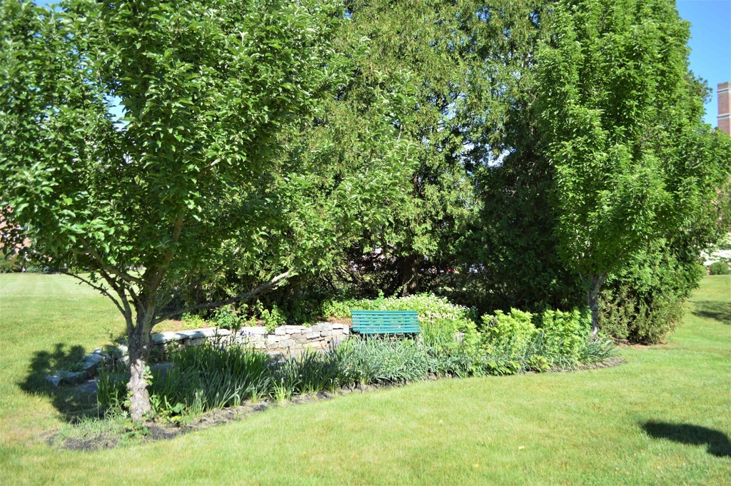 227 Pleasant - Photo 5