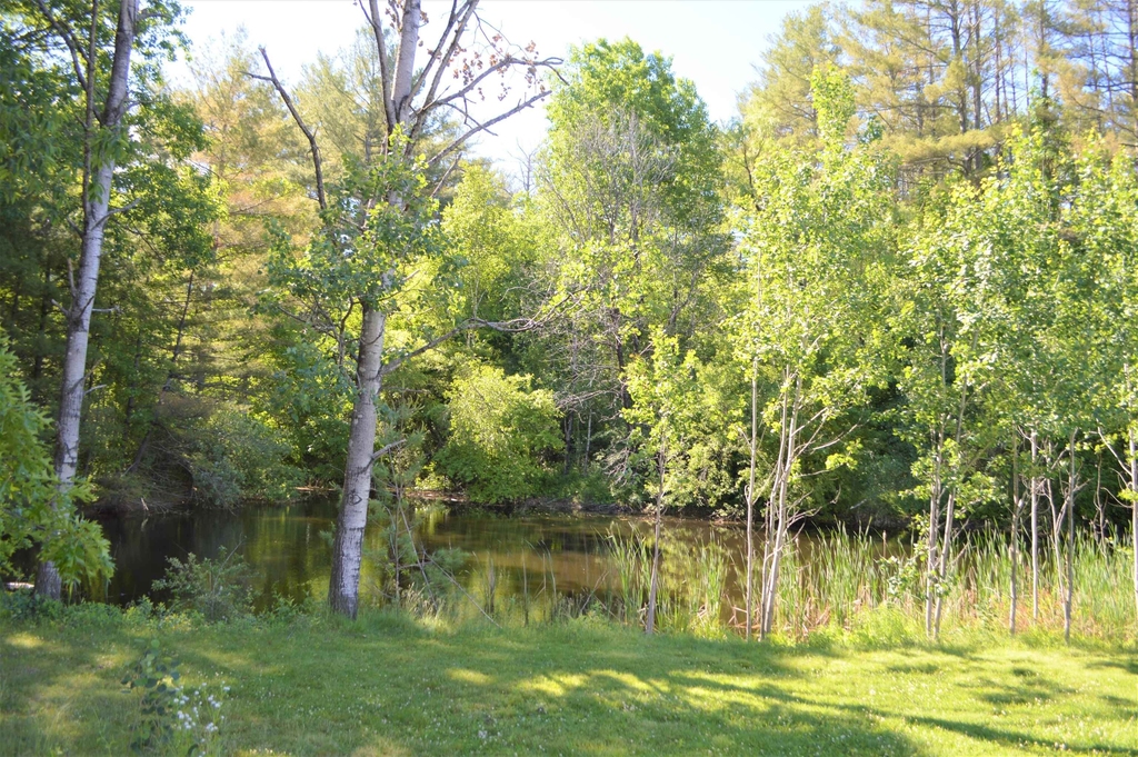 227 Pleasant - Photo 4