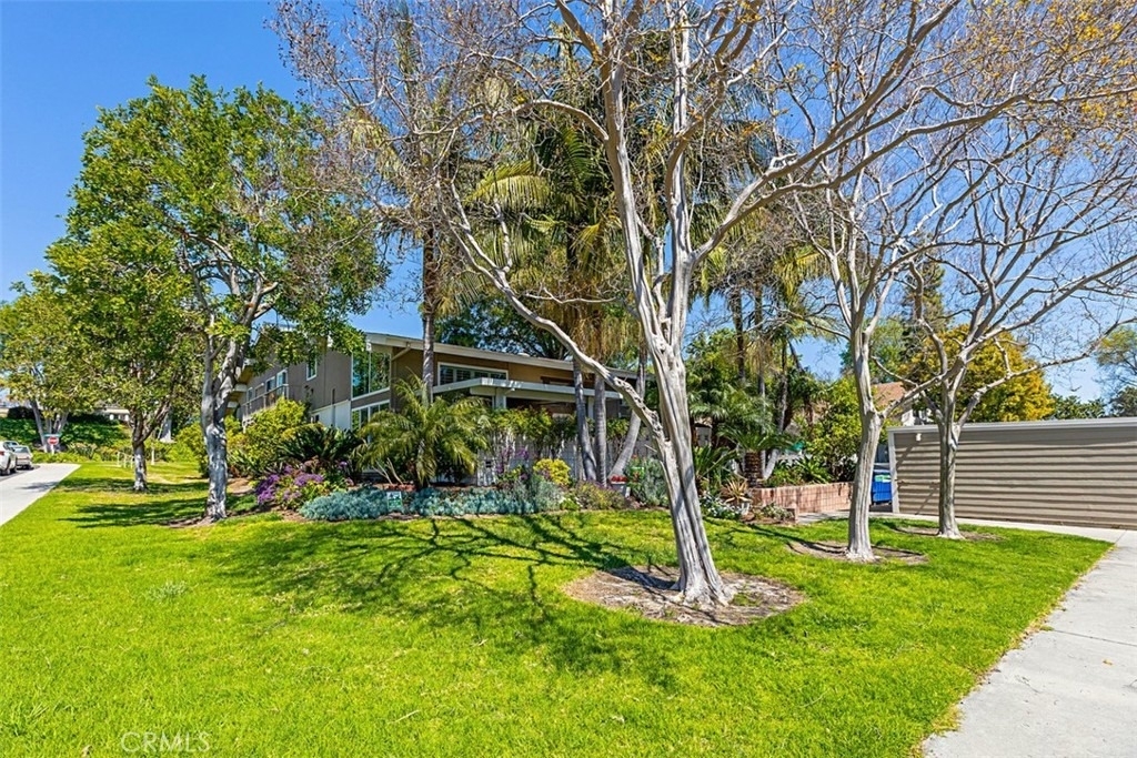480 Calle Cadiz - Photo 3