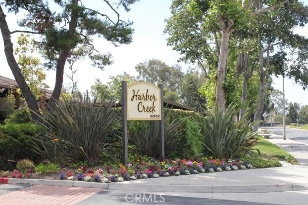 33852 Del Obispo Street - Photo 1