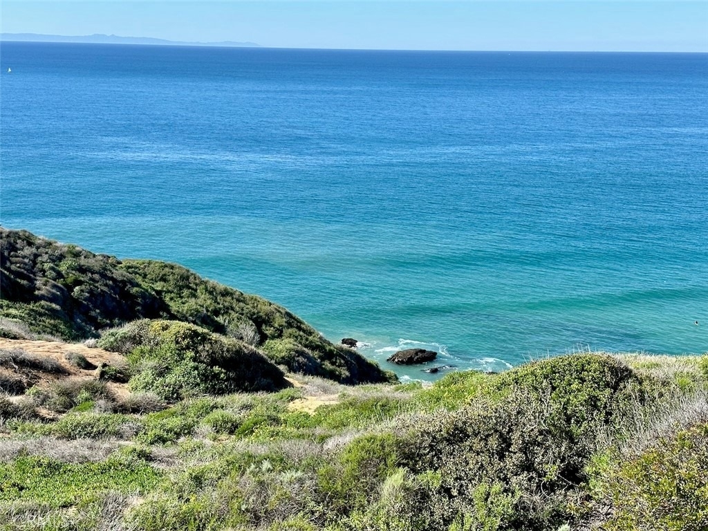 34385 Dana Strand Rd. Road - Photo 1