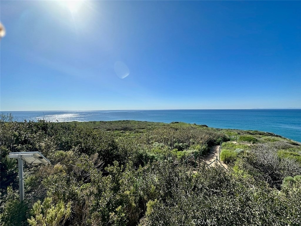 34385 Dana Strand Rd. Road - Photo 25