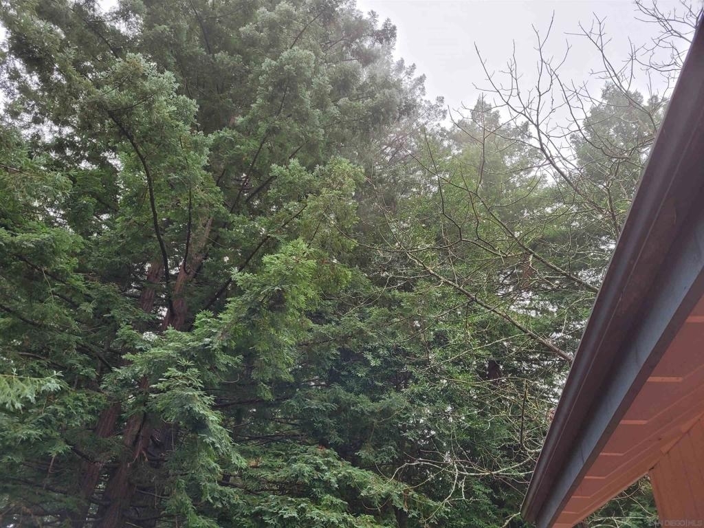 16885 Laurel Road - Photo 33