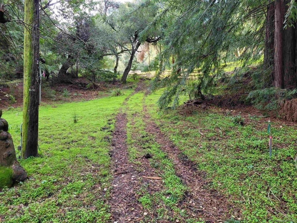 16885 Laurel Road - Photo 39
