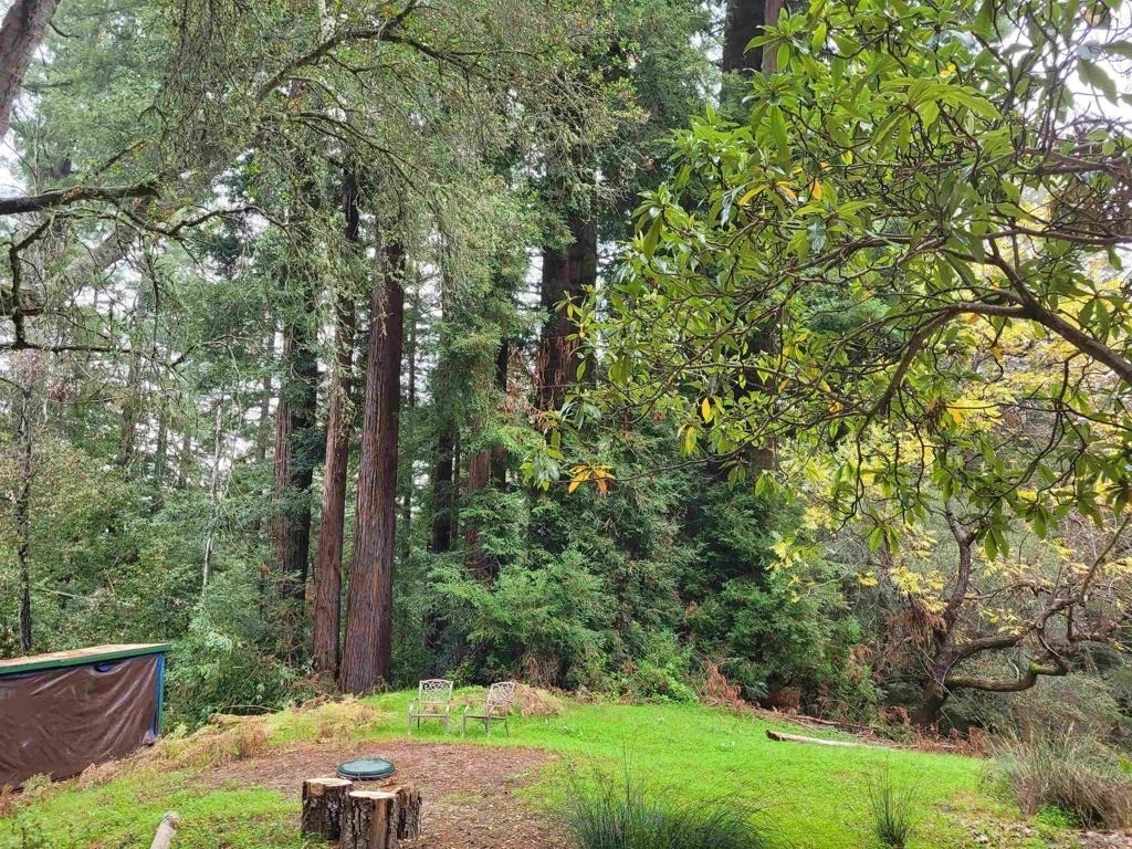 16885 Laurel Road - Photo 29