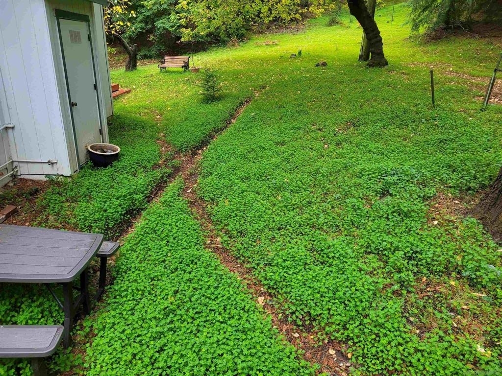 16885 Laurel Road - Photo 37