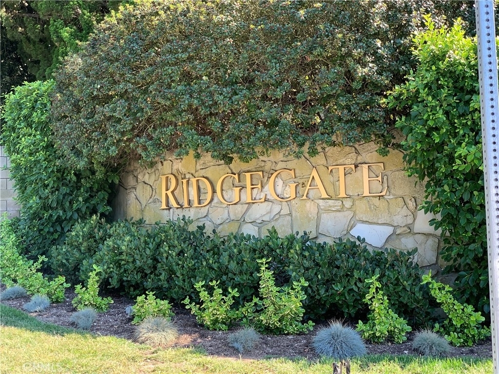 28000 Ridgebluff Court - Photo 1