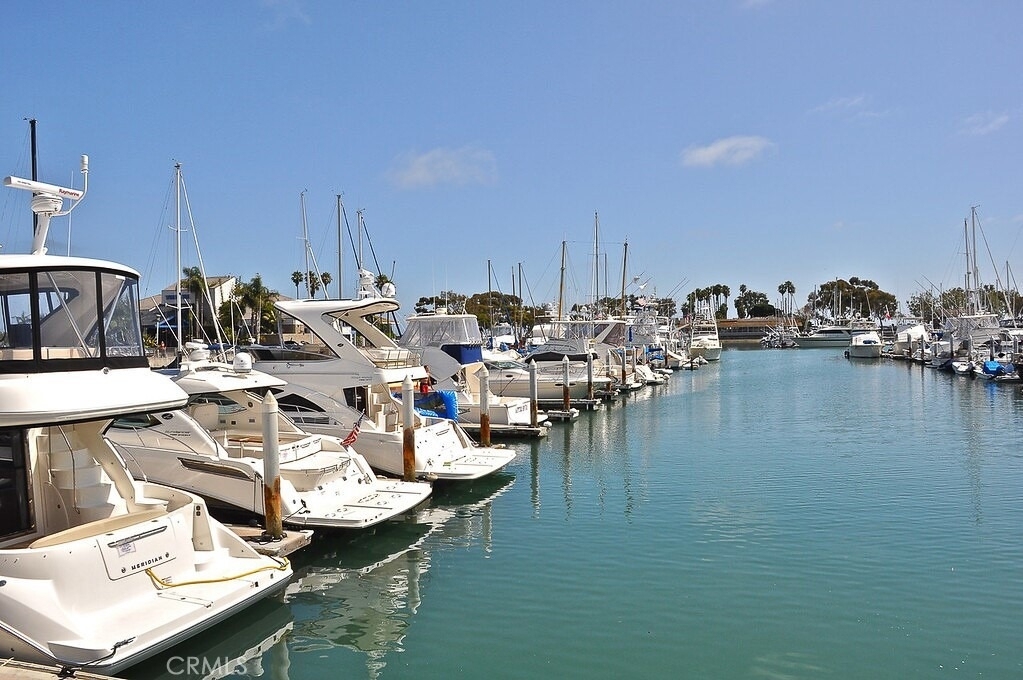 3319 Doheny Way - Photo 71